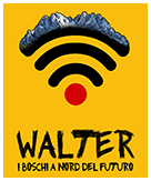 WALTER